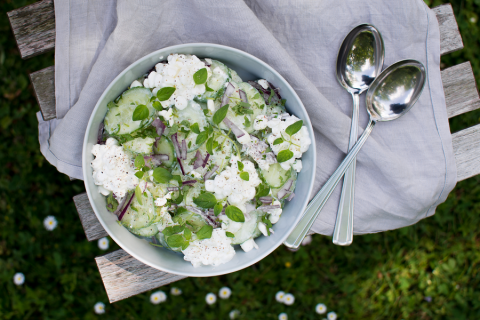 Okurkový salát recept při ledvinové dietě