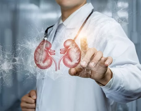 ledviny lékař