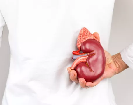 transplantace ledviny