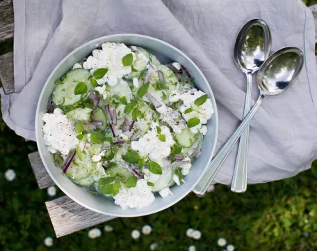 Okurkový salát recept při ledvinové dietě