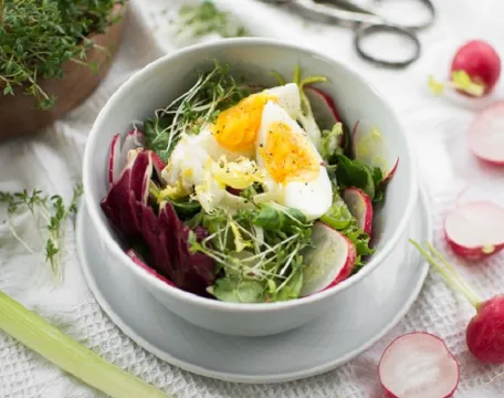 jarni_salat_redkvicky_vejce_rericha_recepty