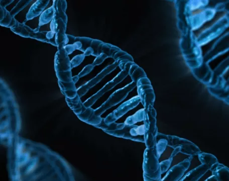 DNA