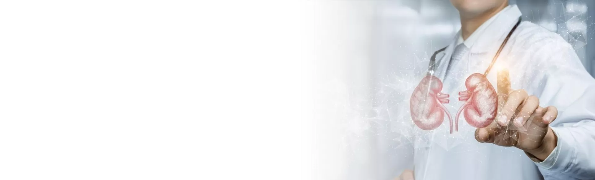 banner_ledviny_prevence