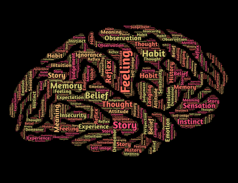 Mozek
