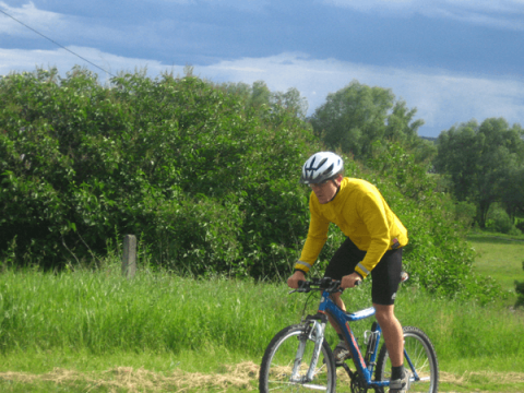Sport 