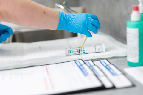 Preventivní screening ledvin zpracování výsledků