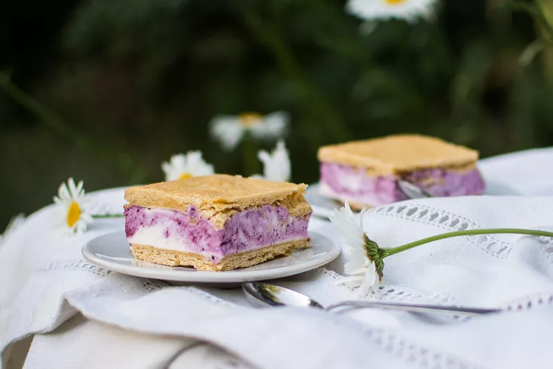 zmrzlinový dezert recepty pro dialyzované pacienty