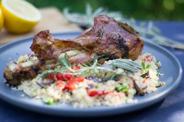 kruti_stehna_salvej_recepty