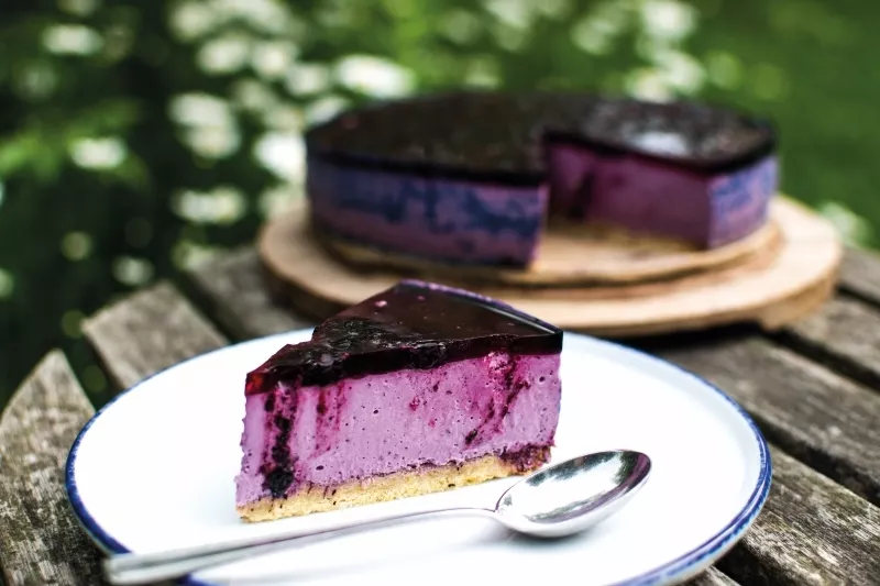 Borůvkový nepečený tvarohový koláč