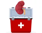 ledvina dárcovství transplantace