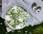 Okurkový salát recept při ledvinové dietě