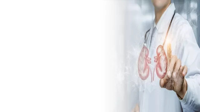 banner_ledviny_prevence